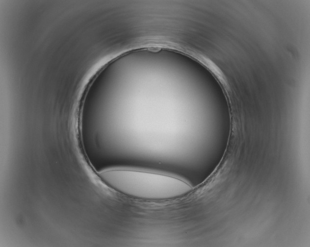 X0000111831144200907231017