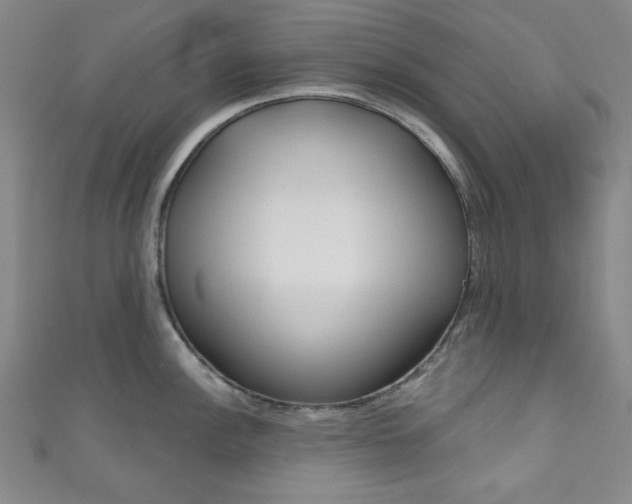 X0000111831148200907231017