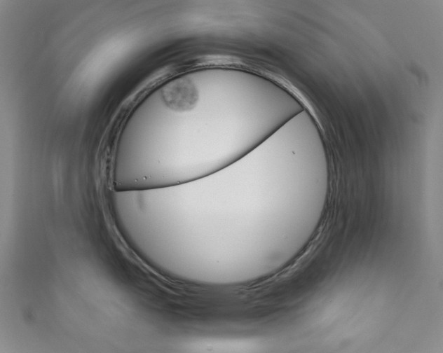 X0000111831151200907231017