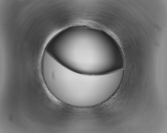 X0000111831152200907231017