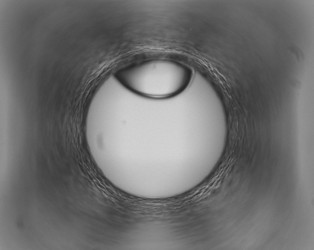 X0000111831157200907231016
