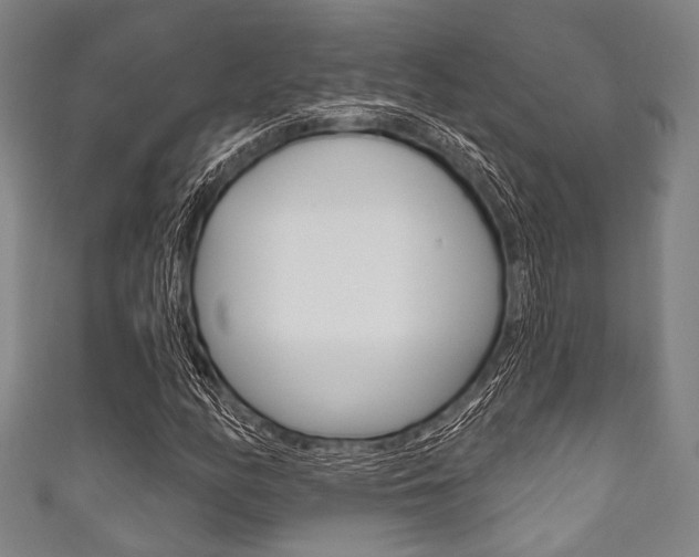 X0000111831158200907231016