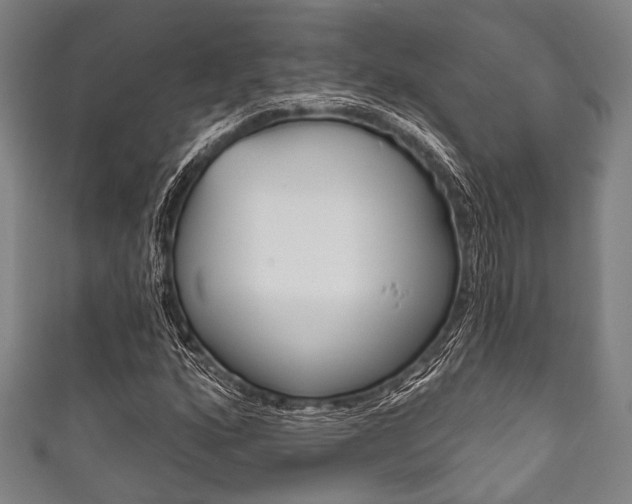 X0000111831160200907231016