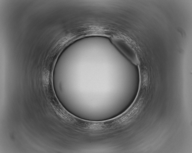 X0000111831161200907231016