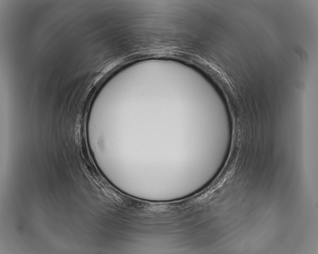 X0000111831162200907231016