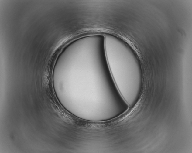 X0000111831163200907231016