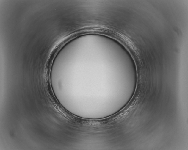 X0000111831164200907231016