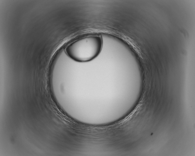 X0000111831165200907231016
