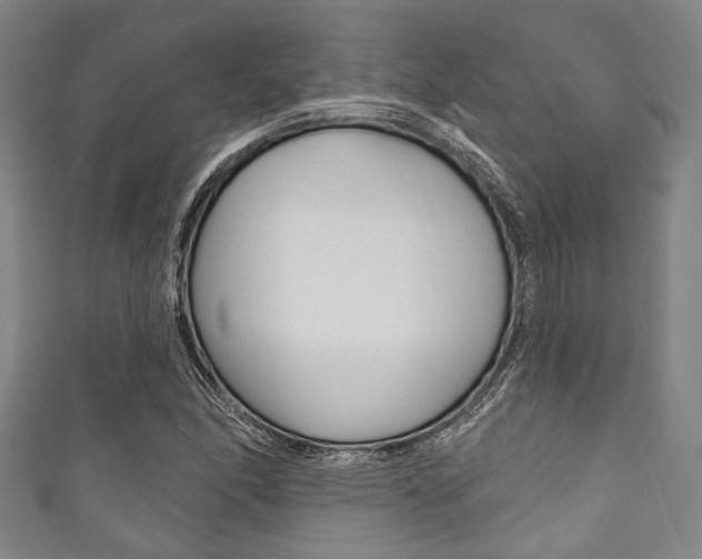 X0000111831166200907231016