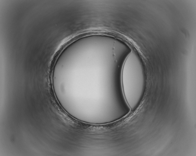X0000111831168200907231016