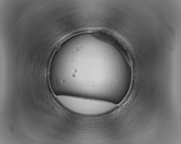X0000111831169200907231016