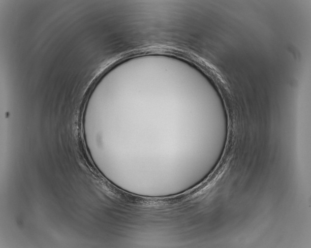 X0000111831170200907231016