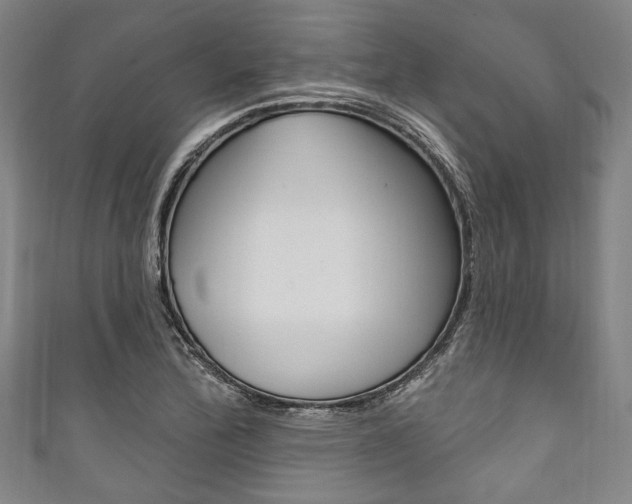X0000111831172200907231016