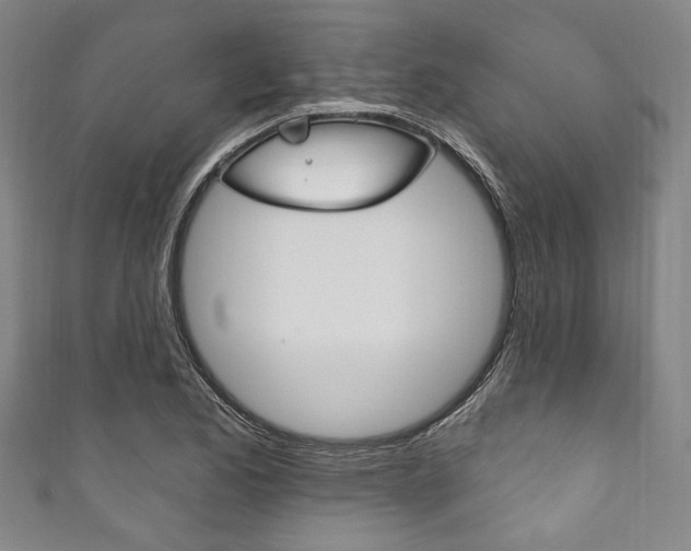 X0000111831173200907231016