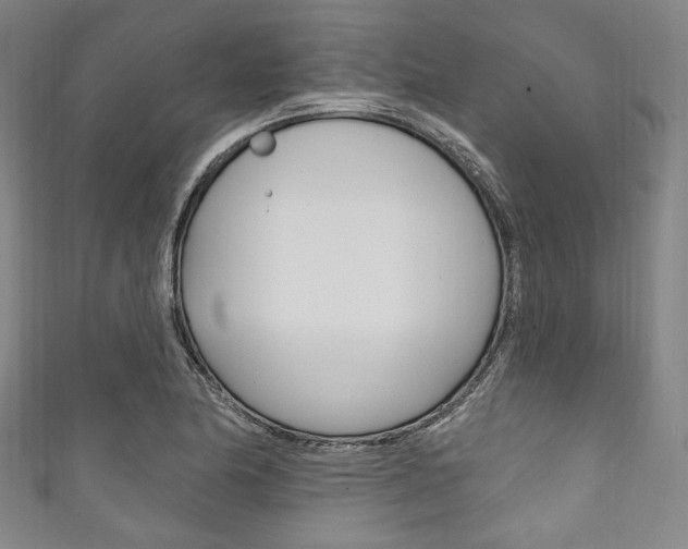 X0000111831174200907231016