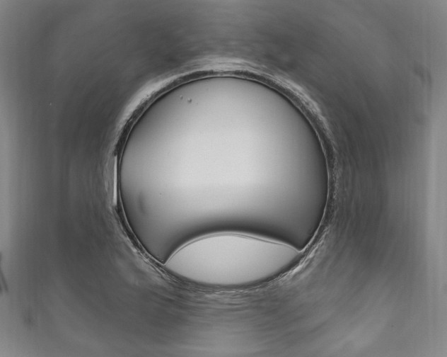X0000111831175200907231016