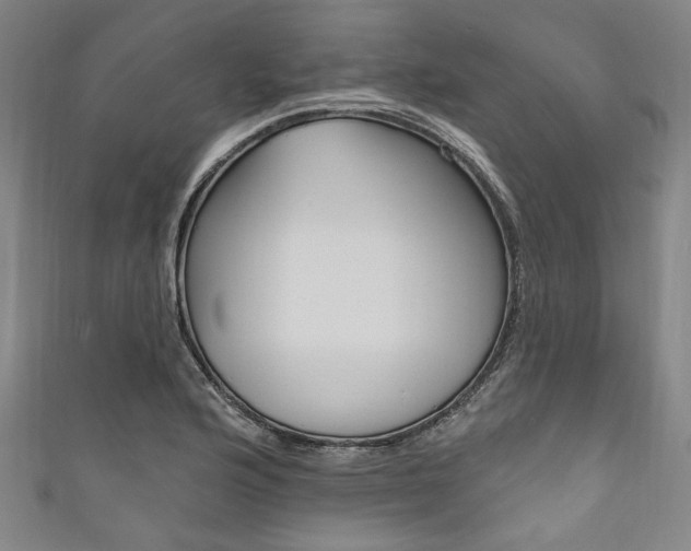 X0000111831176200907231016