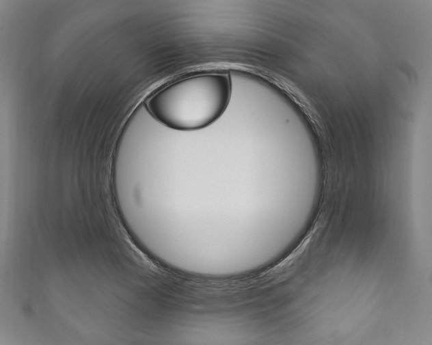 X0000111831177200907231016