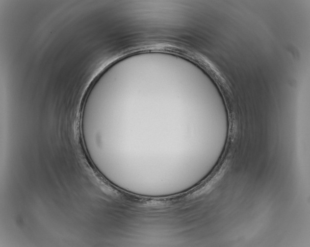 X0000111831178200907231016