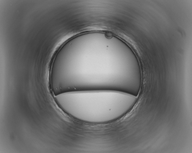 X0000111831179200907231016