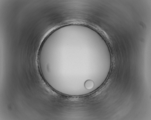 X0000111831182200907231016