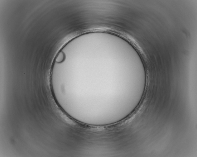 X0000111831186200907231016