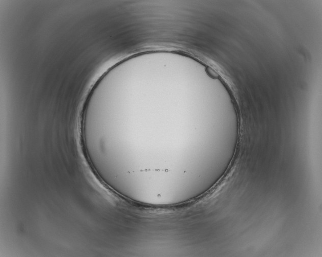 X0000111831187200907231016