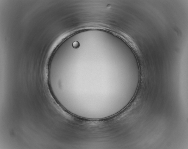 X0000111831188200907231016