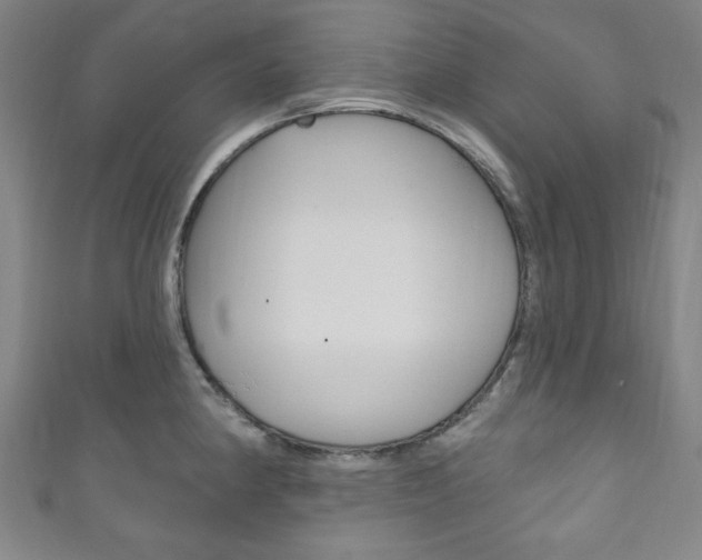 X0000111831190200907231016