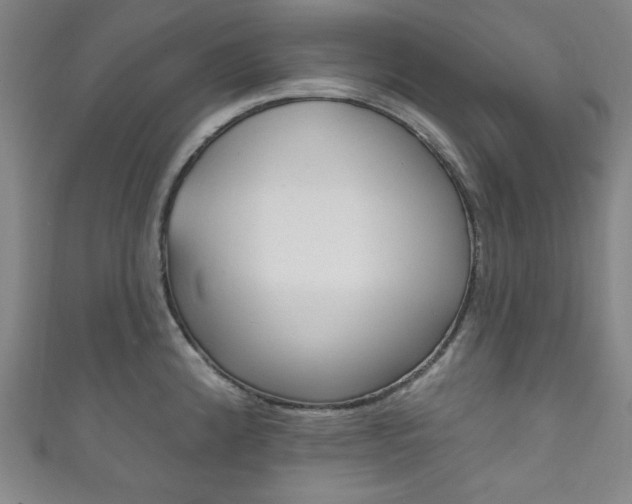 X0000111831192200907231016