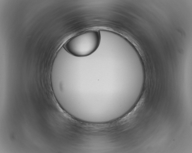 X0000111831193200907231016