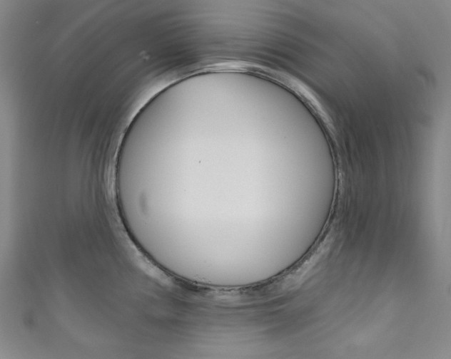 X0000111831194200907231016