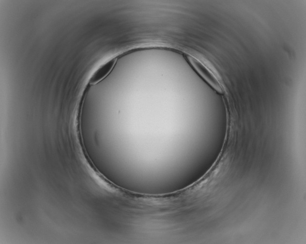 X0000111831197200907231016