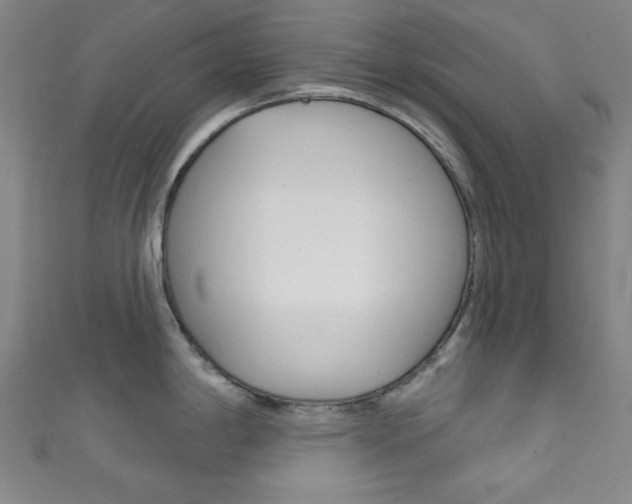 X0000111831198200907231016