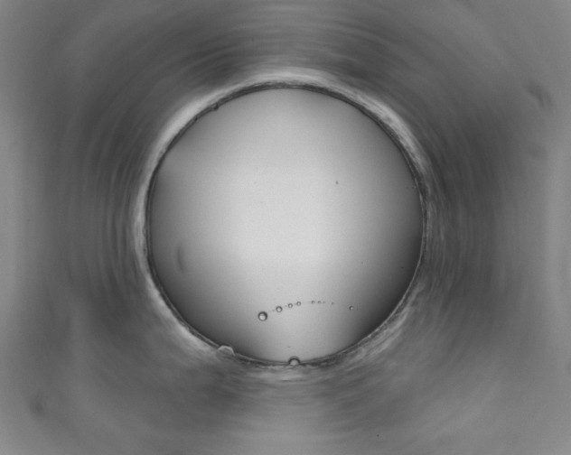 X0000111831199200907231016