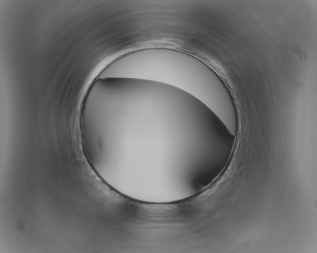 X0000111831200200907231016