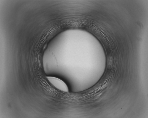 X0000111831202200907231015