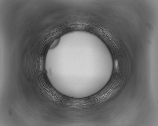 X0000111831203200907231015