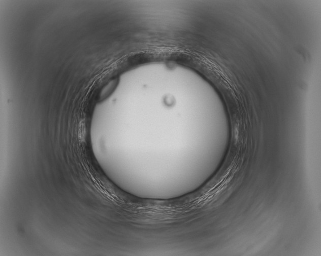 X0000111831204200907231015
