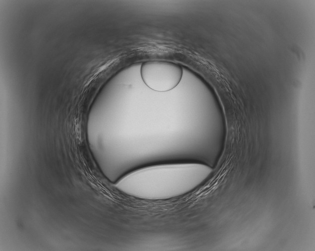 X0000111831205200907231015