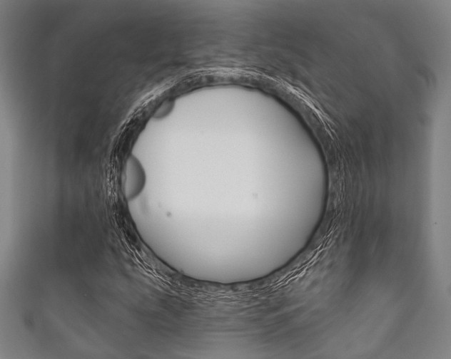 X0000111831207200907231015