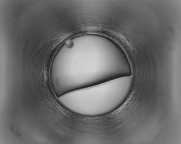 X0000111831209200907231015