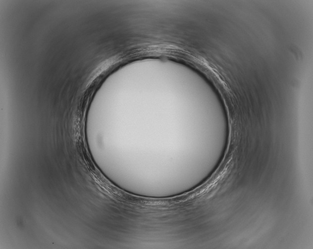 X0000111831211200907231015