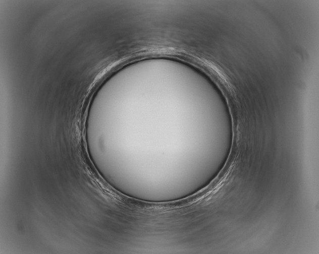 X0000111831212200907231015