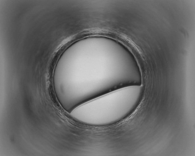 X0000111831213200907231015