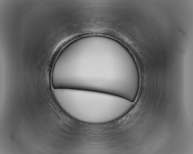 X0000111831214200907231015