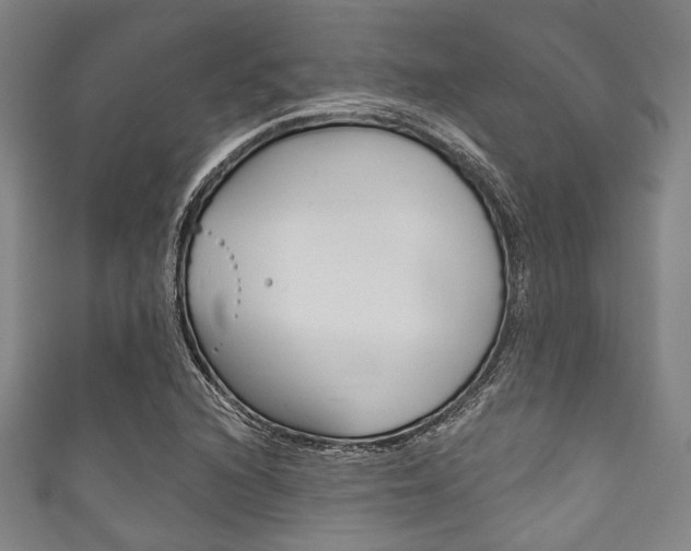 X0000111831216200907231015