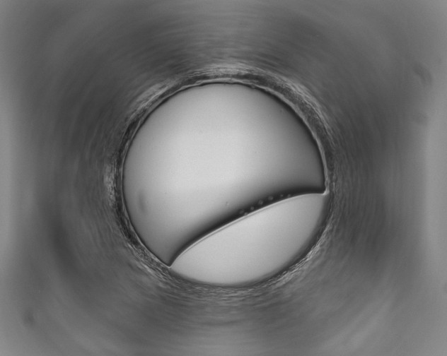 X0000111831217200907231015