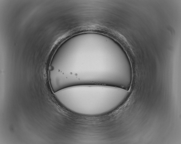 X0000111831218200907231015