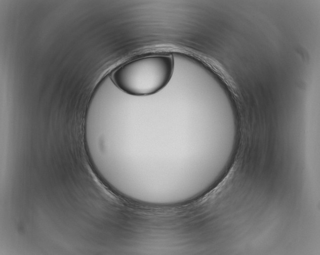 X0000111831225200907231015